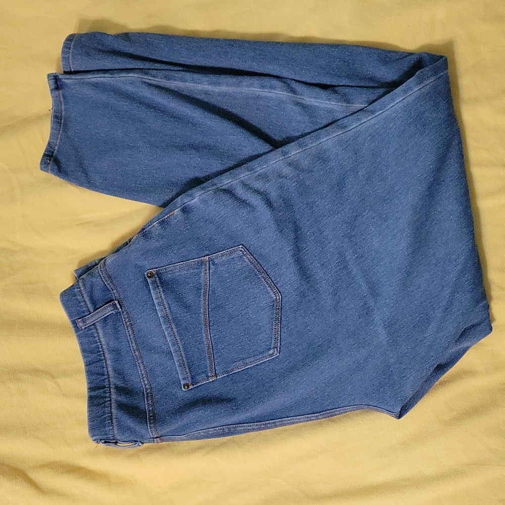 Time and Tru Jeggings Jeans XL 16-18